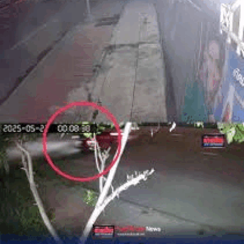 ezgif.com resize (32).gif