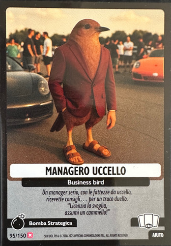 95.jpg