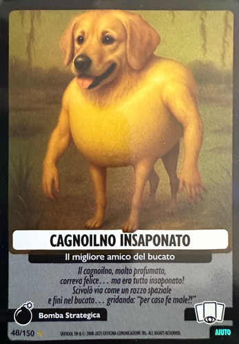 48.jpg