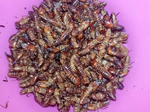 GthwIT1XkAA g9S?format=jpg.jpg