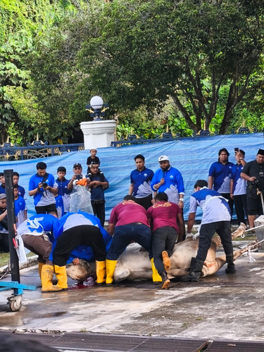 WhatsApp Image 2025 06 07 at 12.56.45 (1).jpg