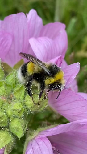 HpJUY88ZR d EJWg.jpg