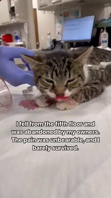 EL7IUzli wGjNgei.jpg