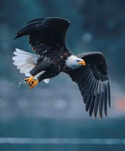 ٢٠٢٥٠٦١٧ ٠١٠٧٢٣.jpg