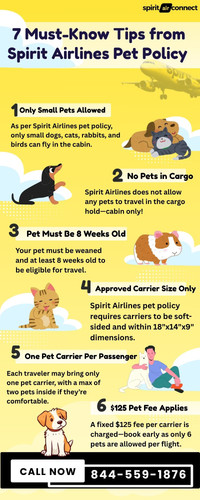 7 Must Know Tips from Spirit Airlines Pet Policy.jpg