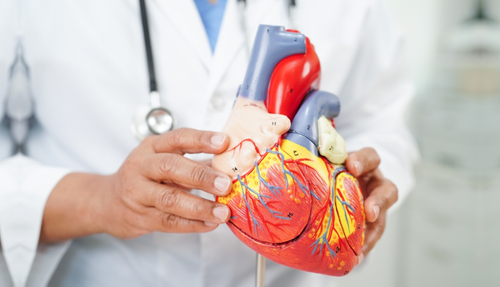 Best Cardiologist in Vadodara.png