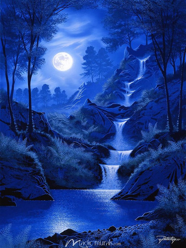 Under a New Moon Wallpaper Wall Mural by Magic….jpg