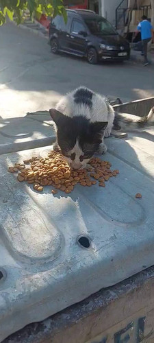 ELyo9h 4TBZZosWK.jpg