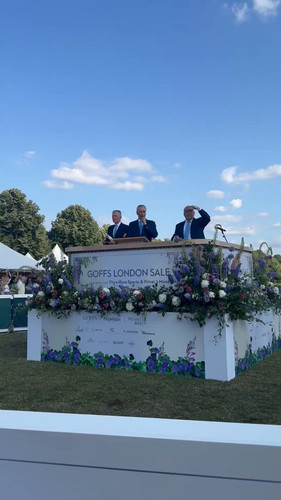 M9GTMJ NOQ4 aqDv.jpg