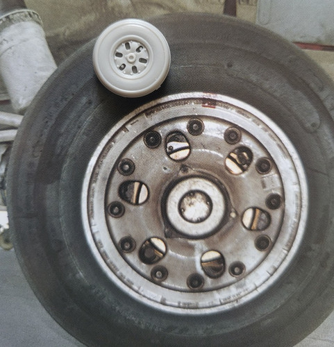1000175192.jpg