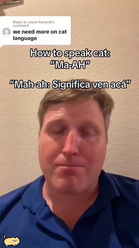 9lfDLDieDR hIq6K.jpg