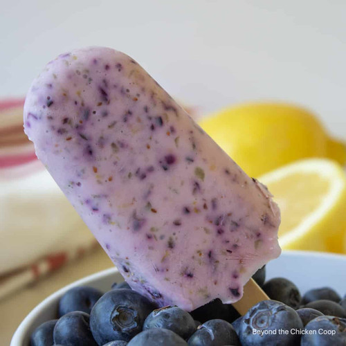 Blueberry Lemon Popsicles 1.jpg