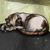 callico spirited thumb.png