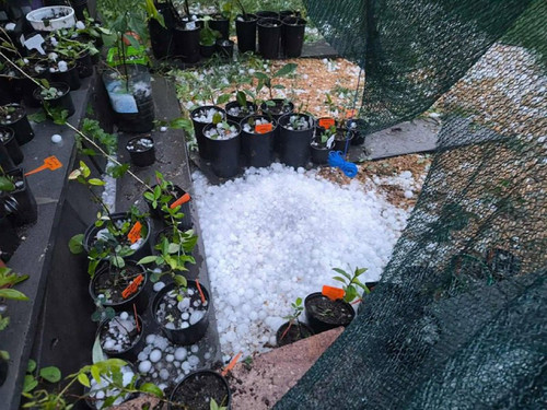 PzjTS1pGSzAf fNYKliRwkGjik2Ocid360 FaraG EAyTTxSUWDLac79QZjhRBrDt4xVEUUNfU74U fo7KyUzKehchEy7EK0Ikez.jpg