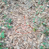 38093f40 34a6 423d b0cd 17219768fdcf.png