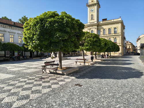 IMG 20250615 164242232 HDR.jpg