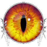 Untitleddesign ezgif.com speed (1).gif