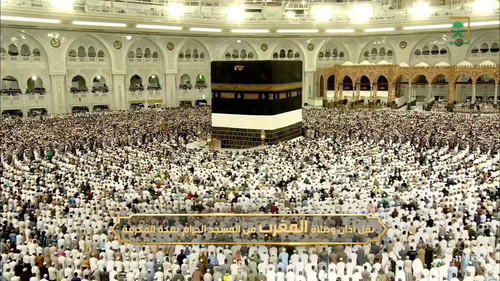 E7gLLUdmAQeqM6 P.jpg