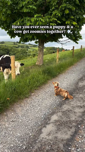 o1 REKfUe7hySsRz.jpg