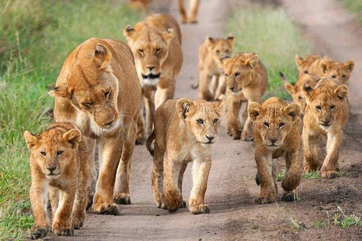 Kidepo Valley National Park