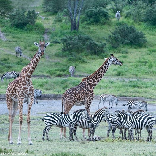 Lake Mburo National Park