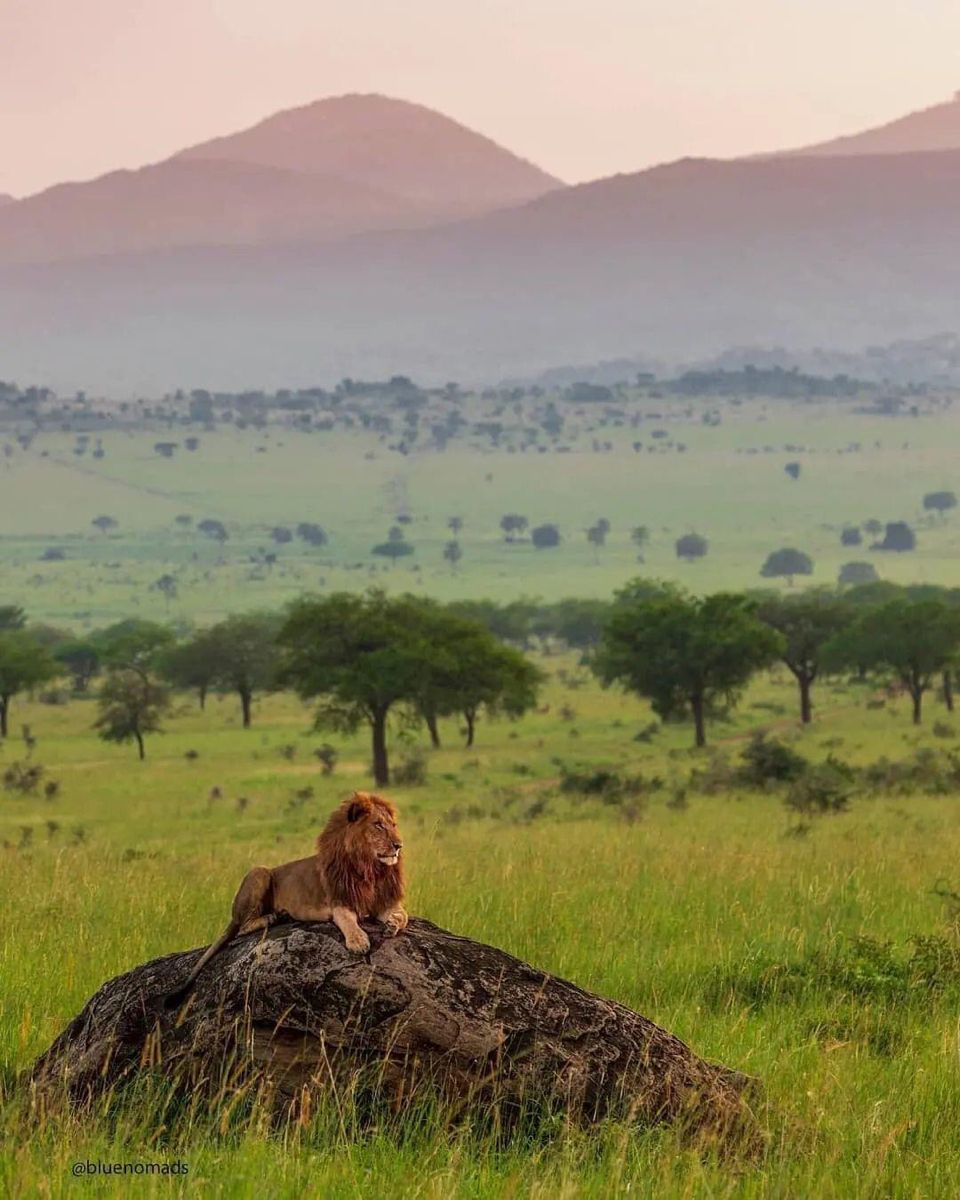Kidepo Valley Landscape