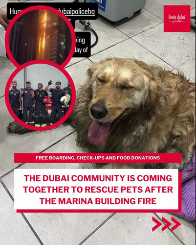 rvDdxpTw2 JRfpkC.jpg