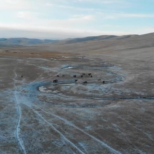 ZQ63 LWvlQsj0hyU.jpg