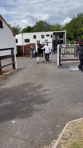 orjEgkG6P zdeVpG.jpg