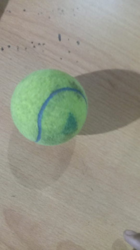 WhatsApp Image 2025 06 17 at 03.50.53.jpg