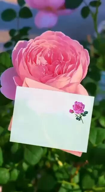 i72TIPb yjxDkkZb.jpg