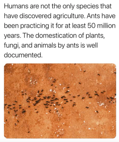 Screenshot 2025 06 16 at 3.26.52 PM.png