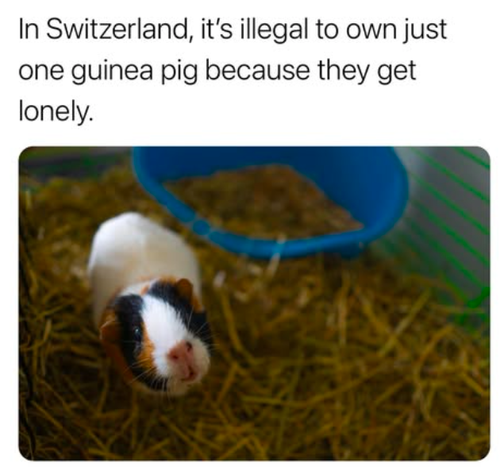 Screenshot 2025 06 16 at 3.25.50 PM.png