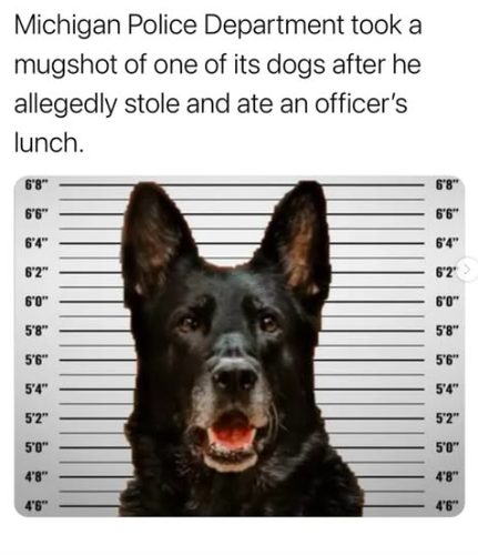 Screenshot 2025 06 16 at 3.25.43 PM.png