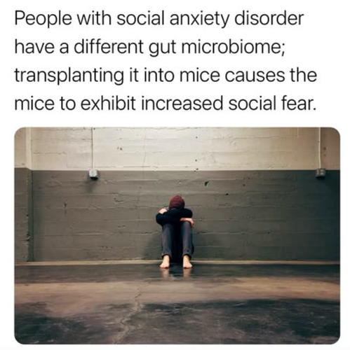 Screenshot 2025 06 16 at 3.25.16 PM.png