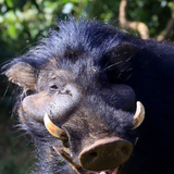 c ce114087849871b00986e0b3fef0069d.PNG.png