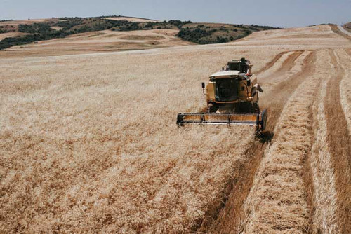 506053509 1026481792933129 3429154540257008637 n.jpg? nc cat=104&ccb=1 7& nc sid=833d8c& nc ohc=VB8i.jpg