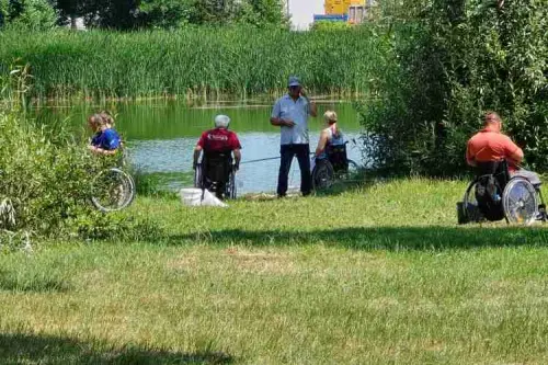 main webp auto generated 2 (1).webp