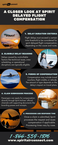 Spirit Delayed Flight Compensation.jpg