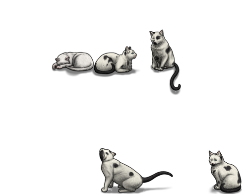 harlyquin snarky.png