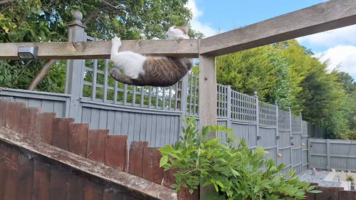 L97X6vxkElur0T J.jpg