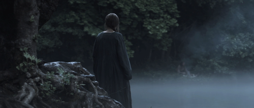 Black Field.mkv 003386587.png