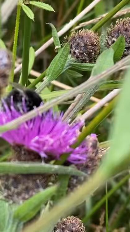 6u M2pMvPu8FFUY2.jpg