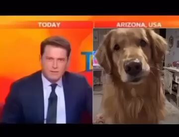 yxHyYEyXrDMXqEXP.jpg