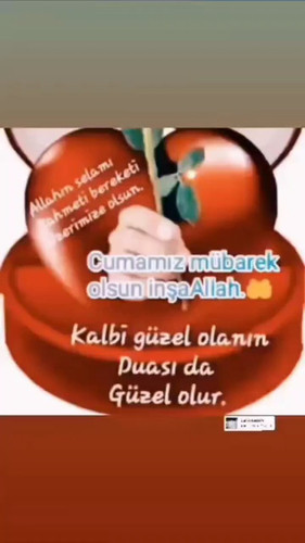 7zI Kh4SjHUDwo3v.jpg