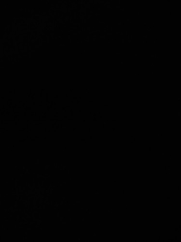 IMG20250815032602.jpg