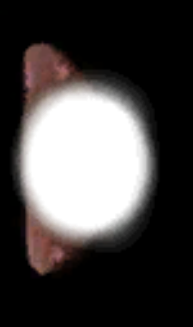 IMG 2335.png
