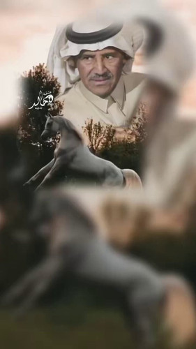 RzEOaJUiZh6qSNSb.jpg