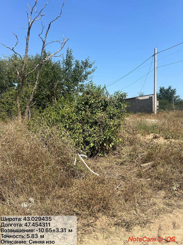 photo 6 2025 08 14 21 43 58.jpg