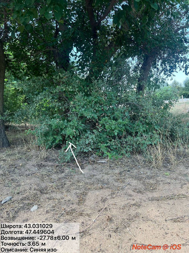 photo 9 2025 08 14 21 43 58.jpg